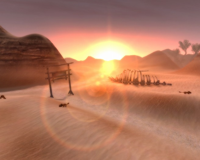 SS_015.jpg