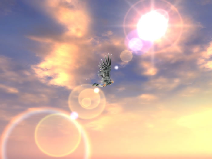 SS_037.jpg