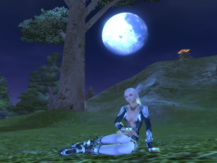 Image 29
