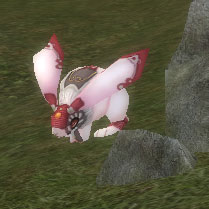 korokoro.jpg