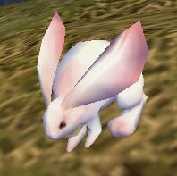 miniusagi01.JPG