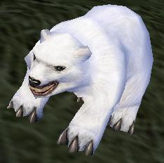 putikuma01.JPG