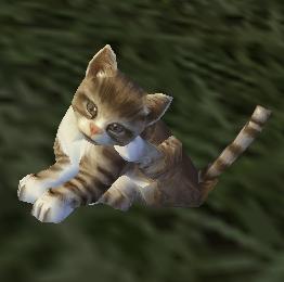 tibineko01.JPG