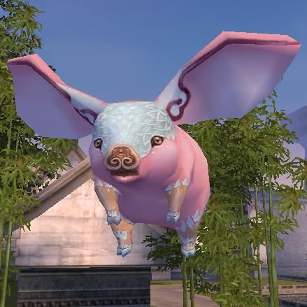 tobibuta01.JPG