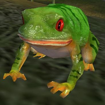 tonosamagaeru01.JPG