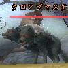 44クロッブマスチフ.JPG 44クロッブマスチフ.JPG