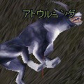 アトウルキング.jpg アトウルキング.jpg