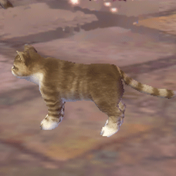 neko.gif neko.gif