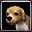 pet05.jpg pet05.jpg